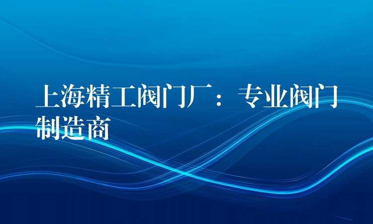 上海精工阀门厂：专业阀门制造商