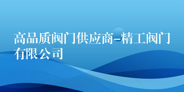 高品质阀门供应商-精工阀门有限公司