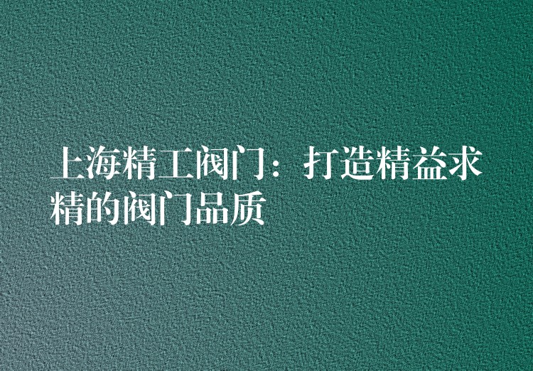 上海精工阀门：打造精益求精的阀门品质