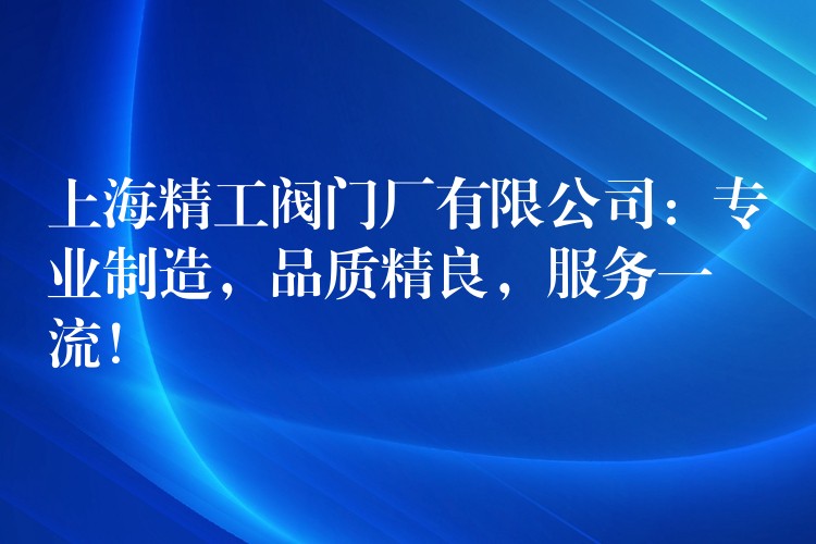 上海精工阀门厂有限公司：专业制造，品质精良，服务一流！