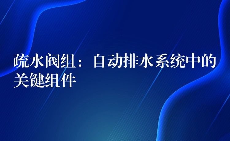 疏水阀组：自动排水系统中的关键组件