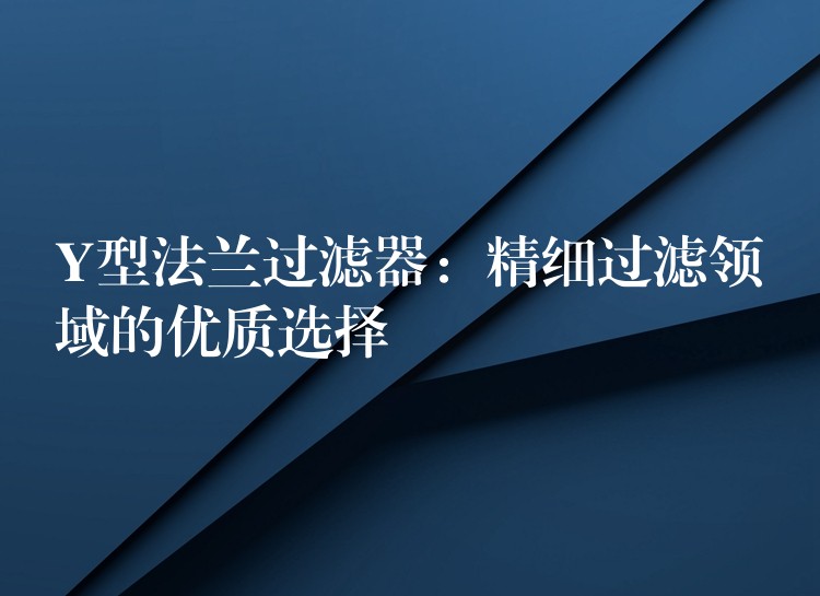 Y型法兰过滤器：精细过滤领域的优质选择