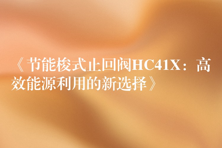 《节能梭式止回阀HC41X：高效能源利用的新选择》