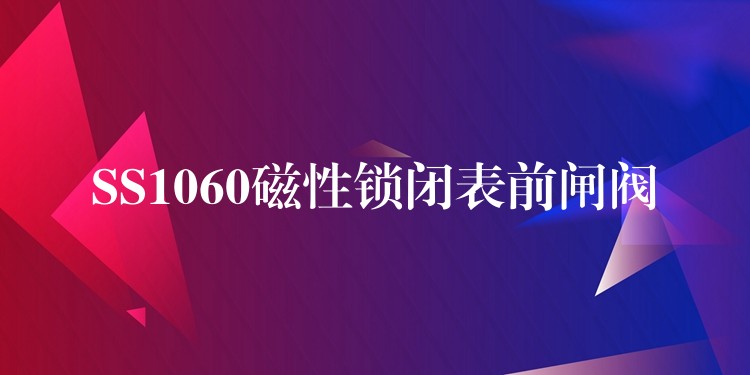 SS1060磁性锁闭表前闸阀